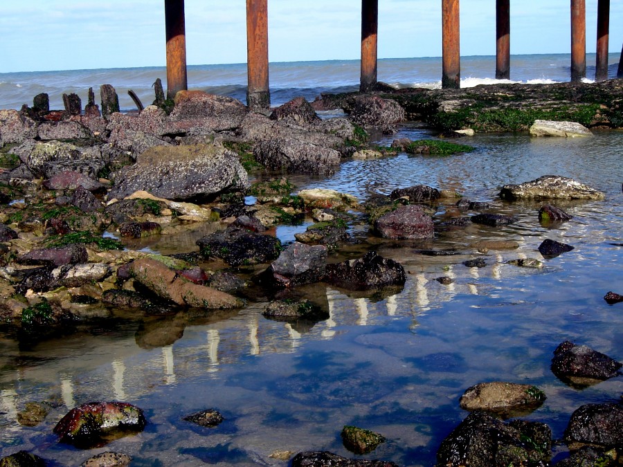 "Reflejado en el agua." de Roberto Velazquez