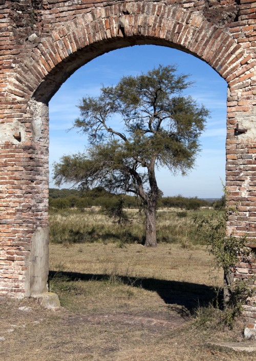 "Sin Titulo" de Rodolfo Crespo