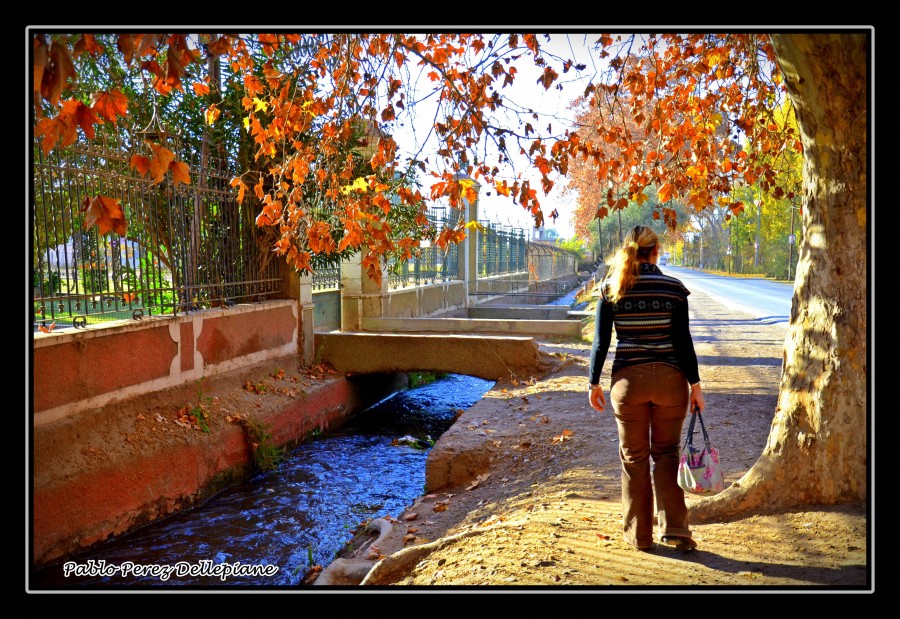 "Una tarde de paseo" de Pablo Perez Dellepiane