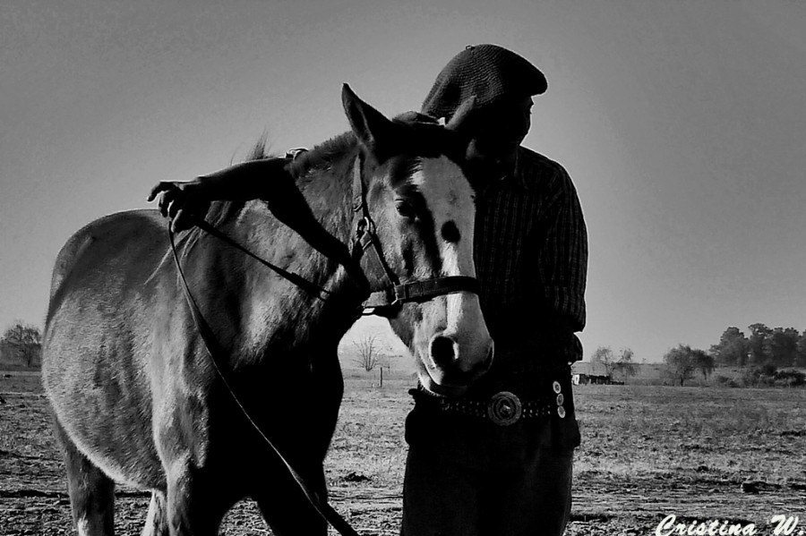 "Una pareja singular...." de Cristina Wnetrzak