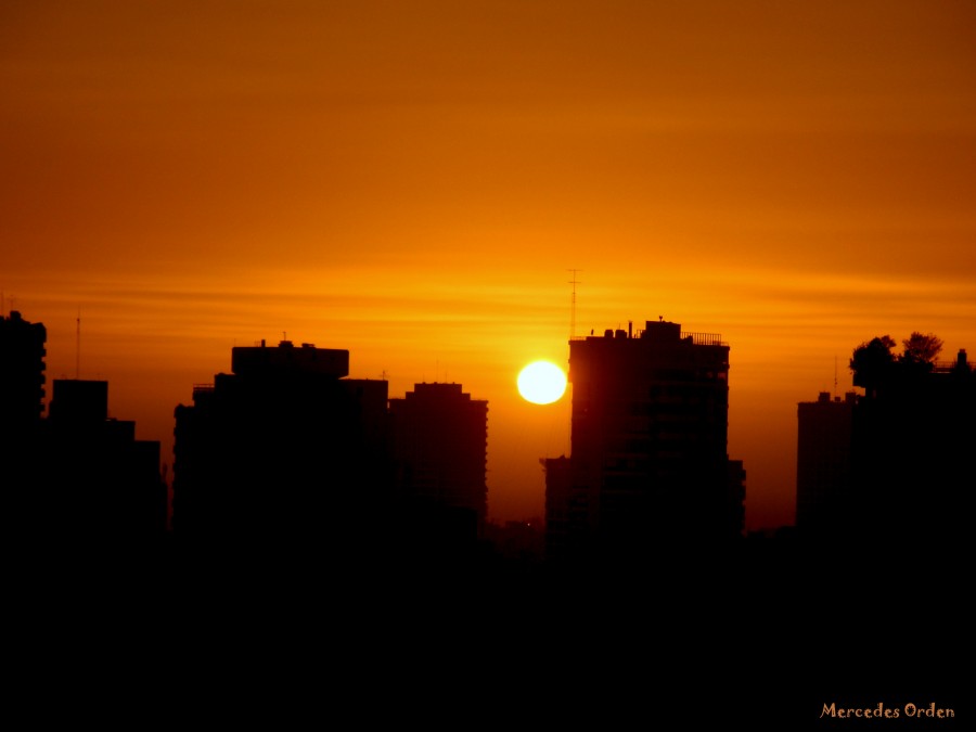 "el sol de las cenizas" de Mercedes Orden