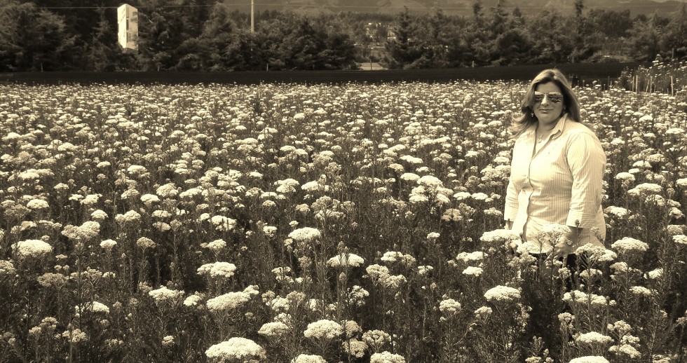 "campo de flores" de Maria Rom