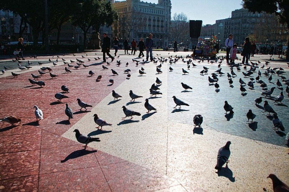 "Encuentro en la plaza" de Manuel Velasco