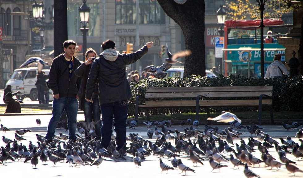 "Consintiendo a las palomas... y a los turistas" de Manuel Velasco