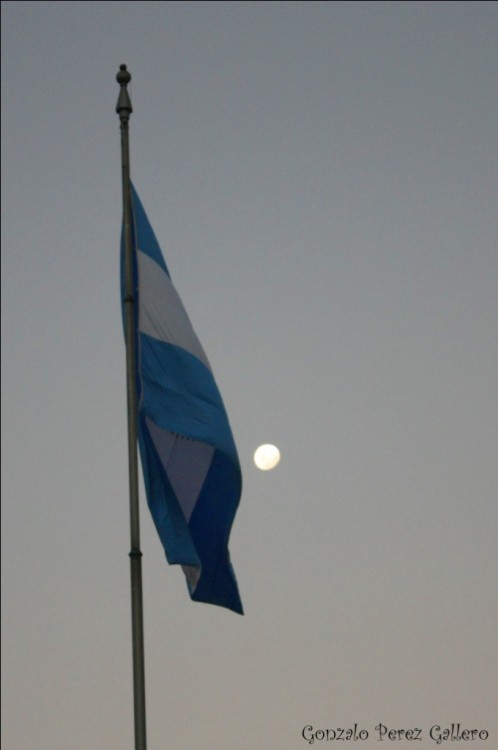 "Mi Bandera" de Gonzalo Perez Gallero