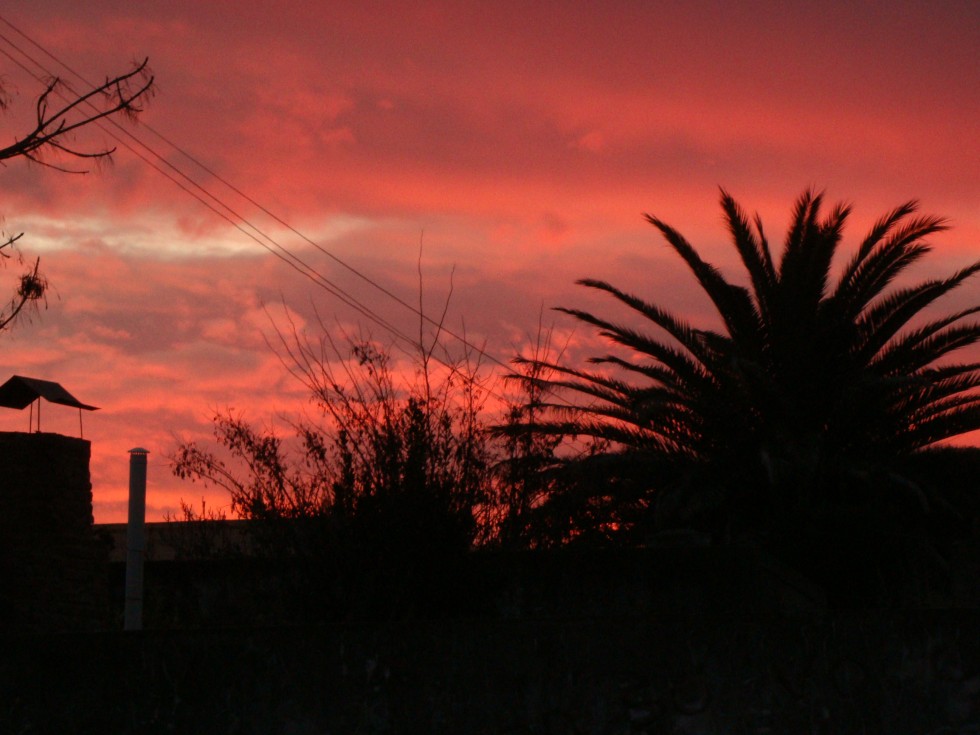 "Atardecer urbano" de Sandra Ermandraut