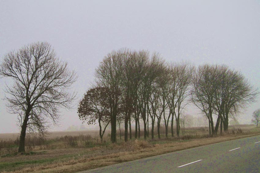 "otro da de niebla" de Vernica Dana