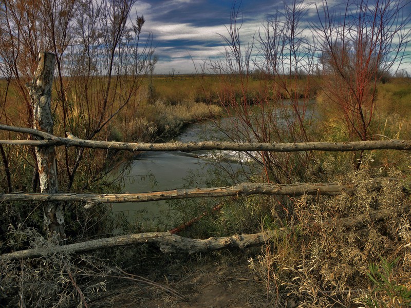 "Un rincon del rio" de Ricardo Cascio