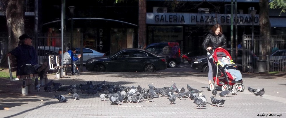 "Palomas" de Andres Mancuso