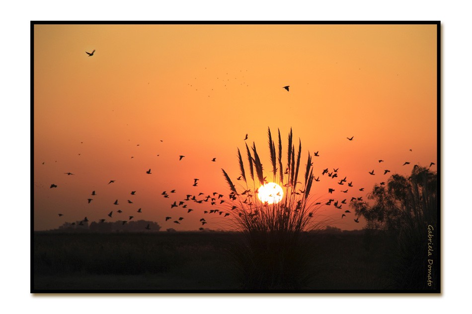 "Atardecer" de Gabriela Domato