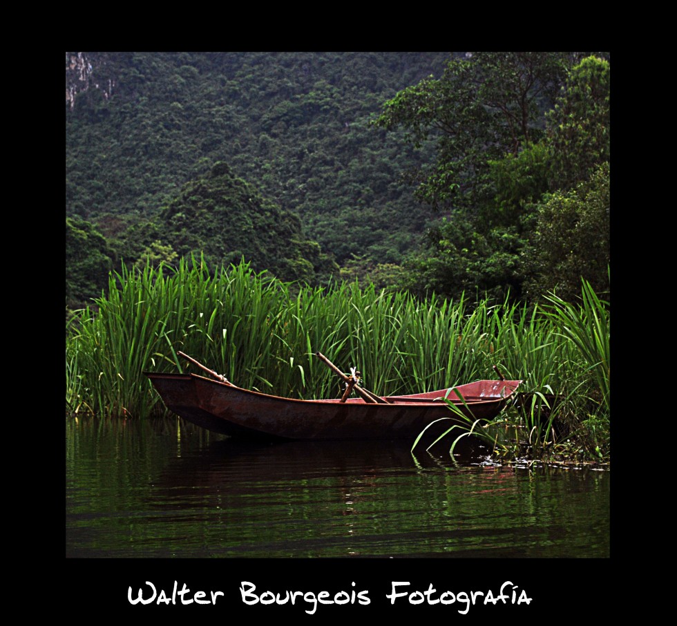 "Esperando..." de Walter Bourgeois