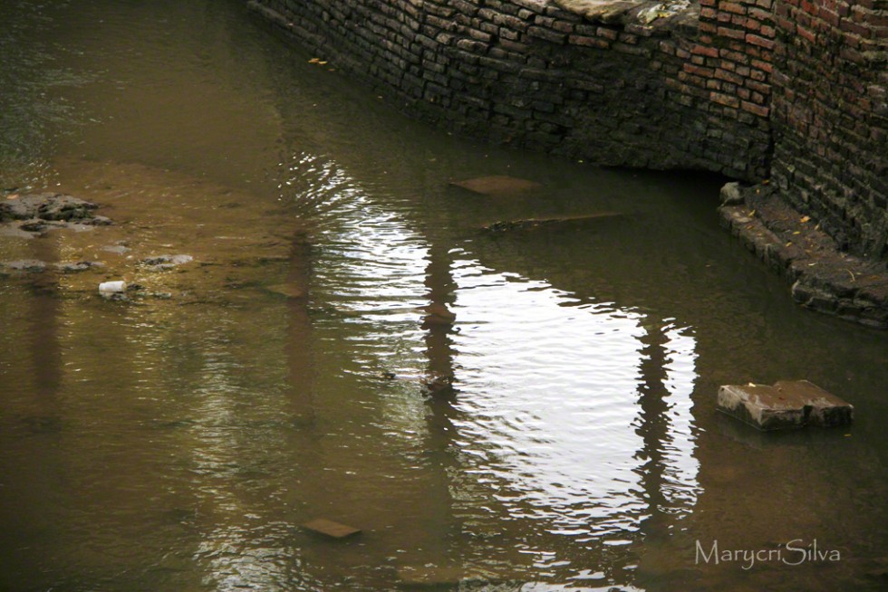 "Repetido bajo el agua" de Maria Cristina Silva