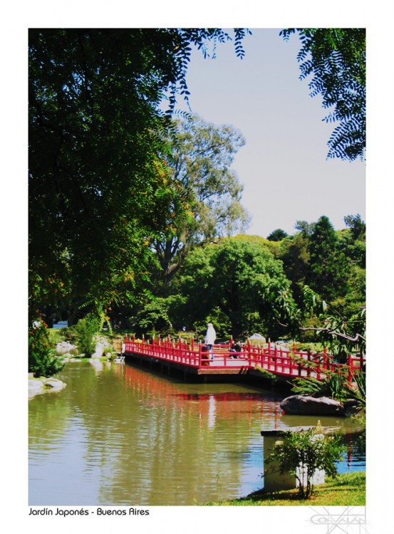 "Jardn Japons, el lago." de Silvia Corvaln