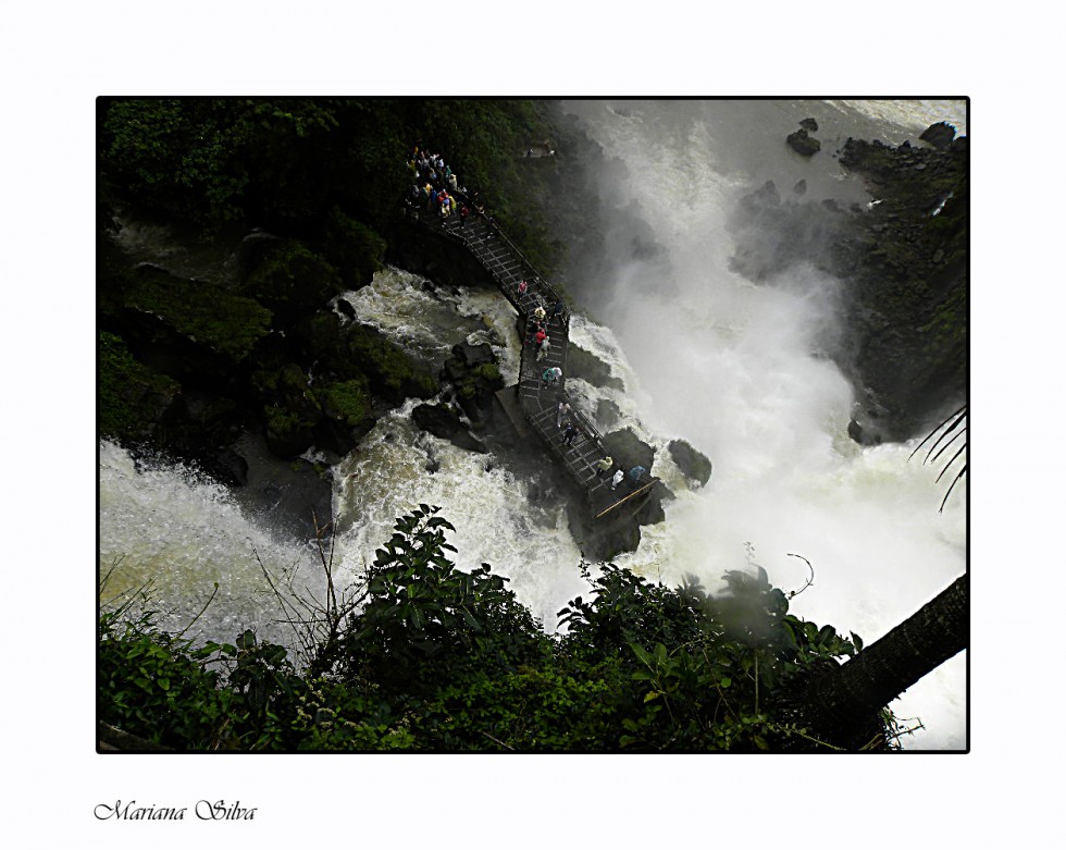 "Paisajes...Cataratas" de Mariana Silva