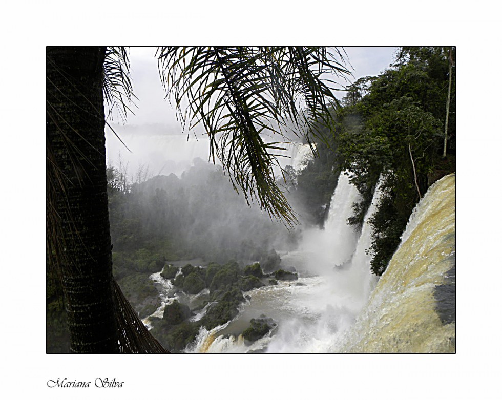 "Cataratas" de Mariana Silva