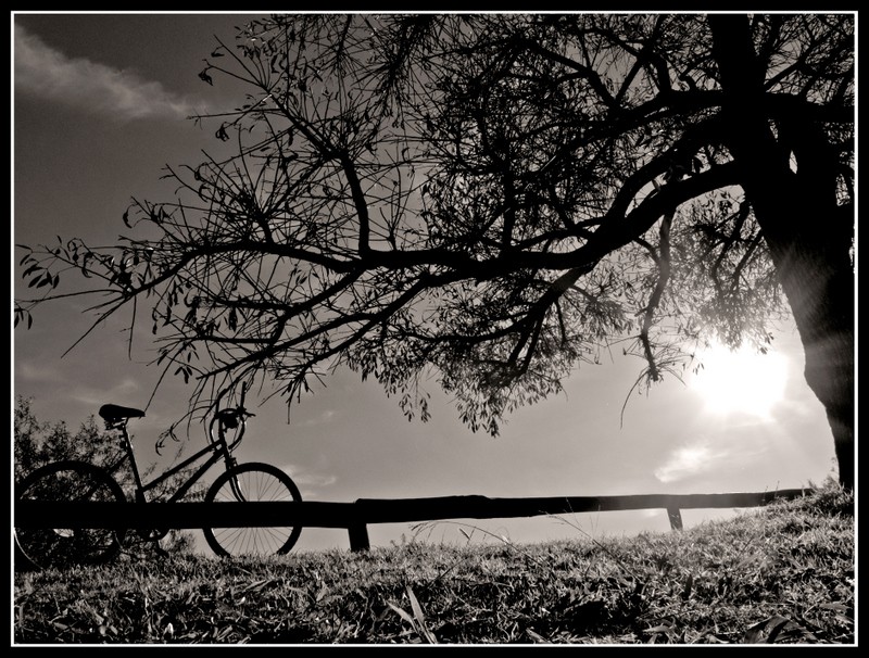 "El ngel de la bicicleta" de Mara Fernanda Augusto