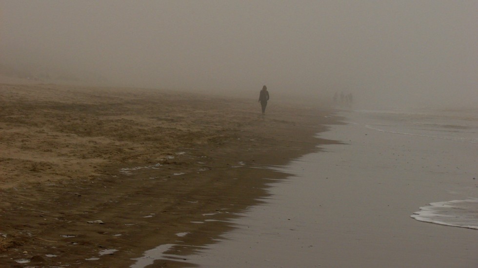 "perdida en la niebla" de Edith Polverini