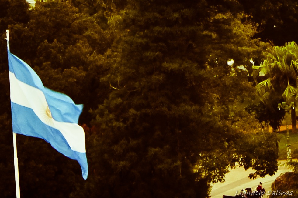 "Nuestra bandera" de Salinas Jose Ignacio