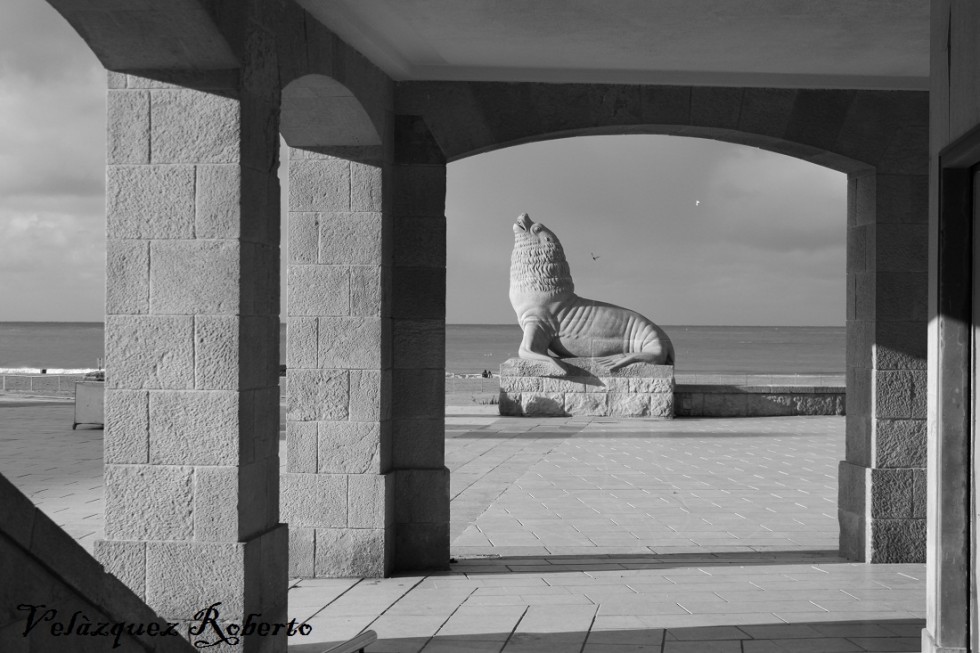 "lobo de mar." de Roberto Velazquez