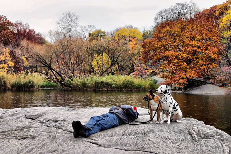 "Velando el sueo... en Central Park" de Manuel Velasco