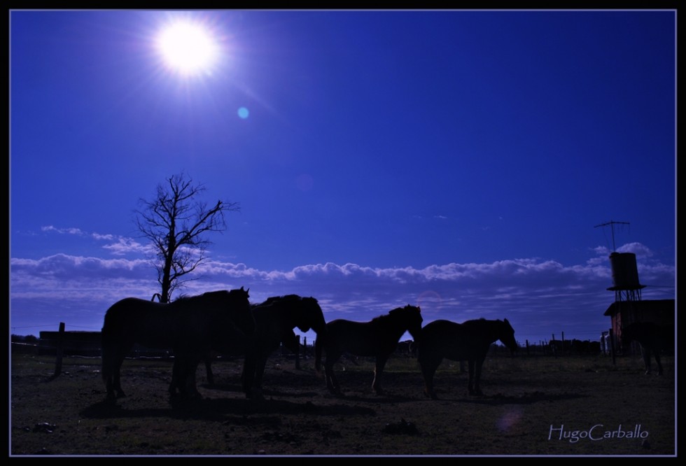 "Contraluz en el campo" de Hugo Carballo (oxido)