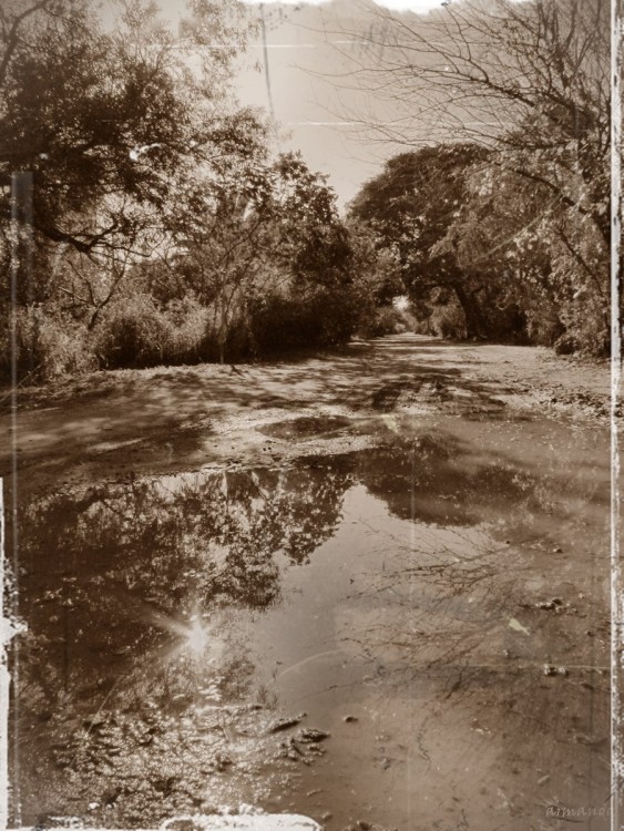 "Simil foto antigua" de Armando Kazimierski