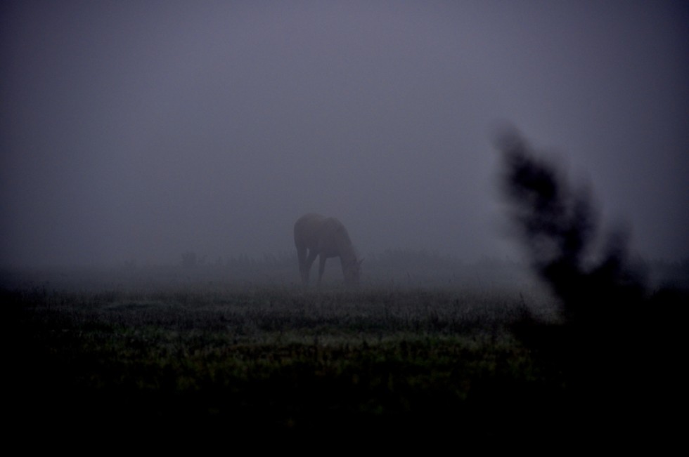 "Ceguera, niebla, humedad, vida" de Ariel Pascuali