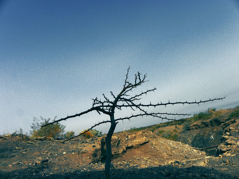 "Crucifixion" de Ricardo Cascio