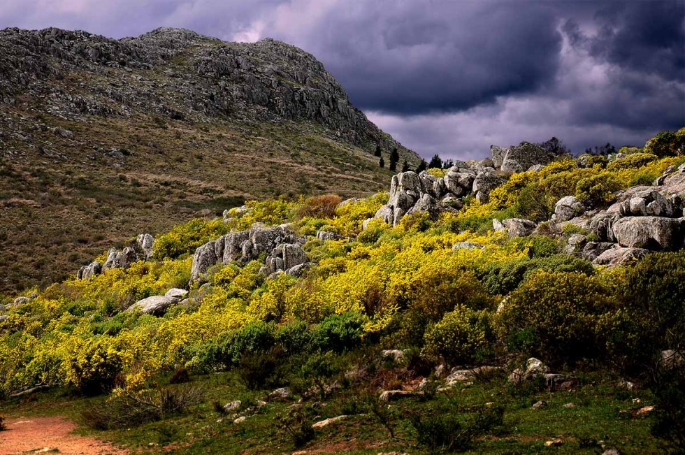 "Sierra del Tigre - Tandil" de Edith Polverini