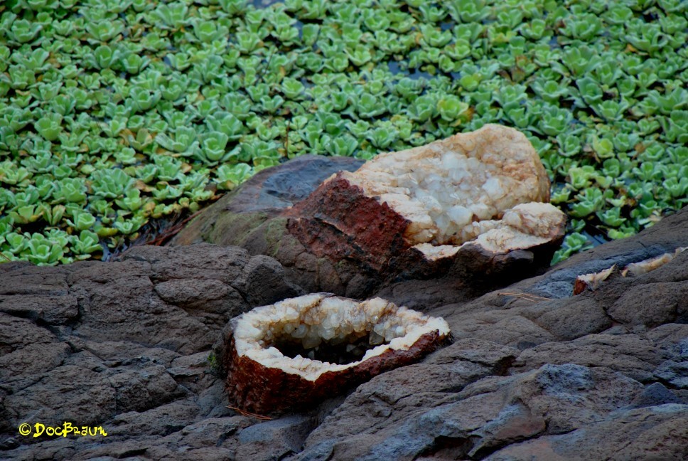 "Minas de Wanda (Misiones)" de Juan Jos Braun