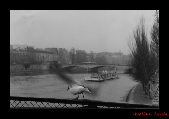 "Invierno en Paris" de Anala Cayolo