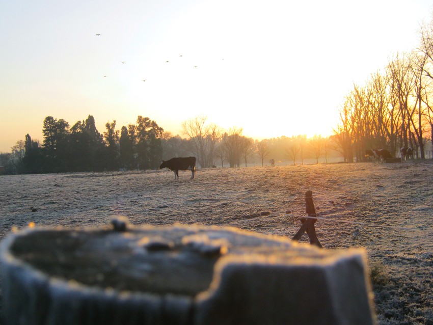 "Frio amanecer" de Adrian Melo