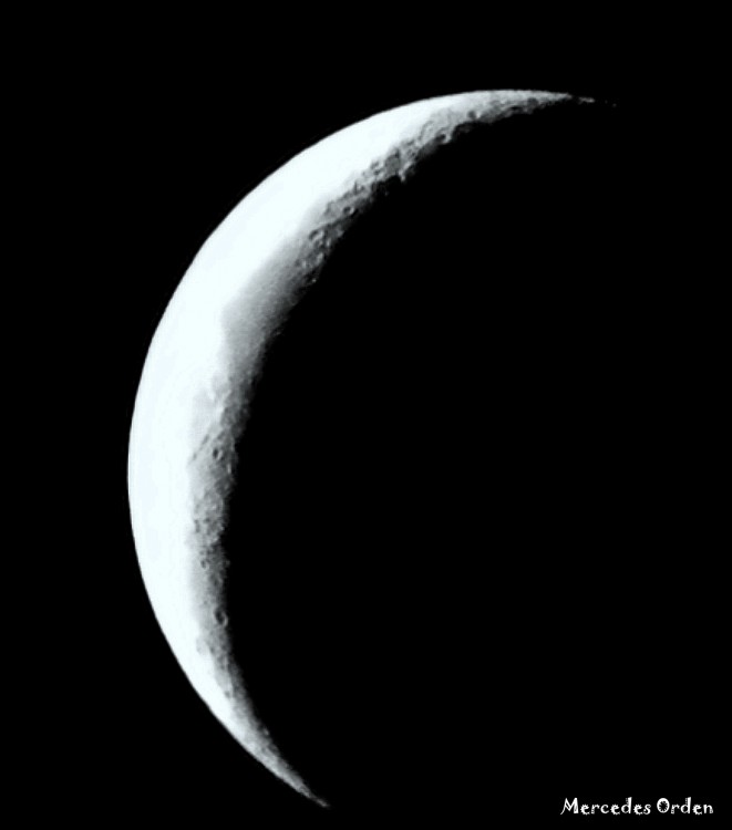 "luna" de Mercedes Orden