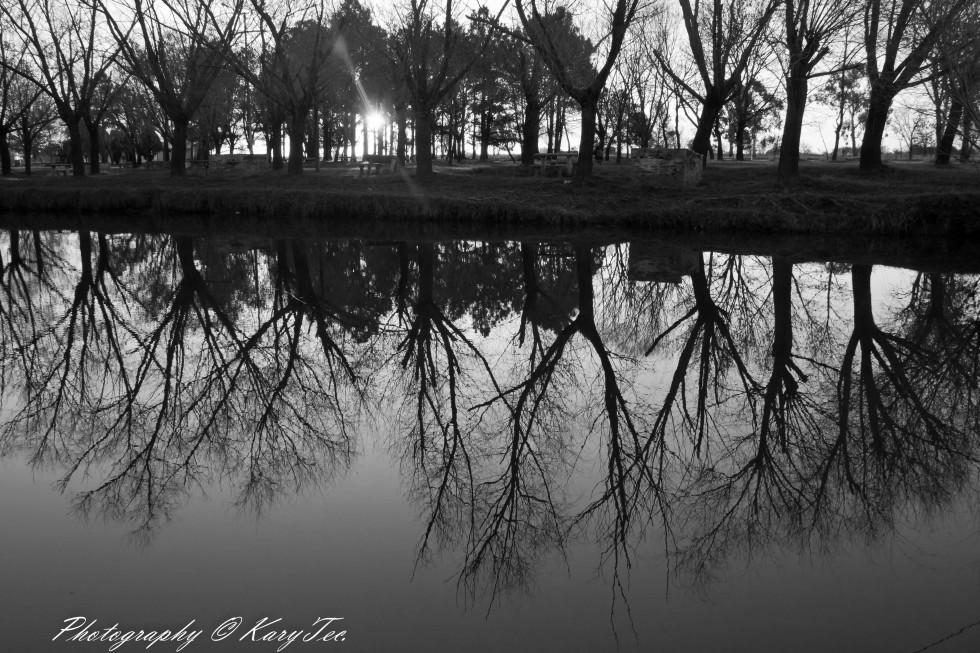 "Reflejandose" de Karina Techera