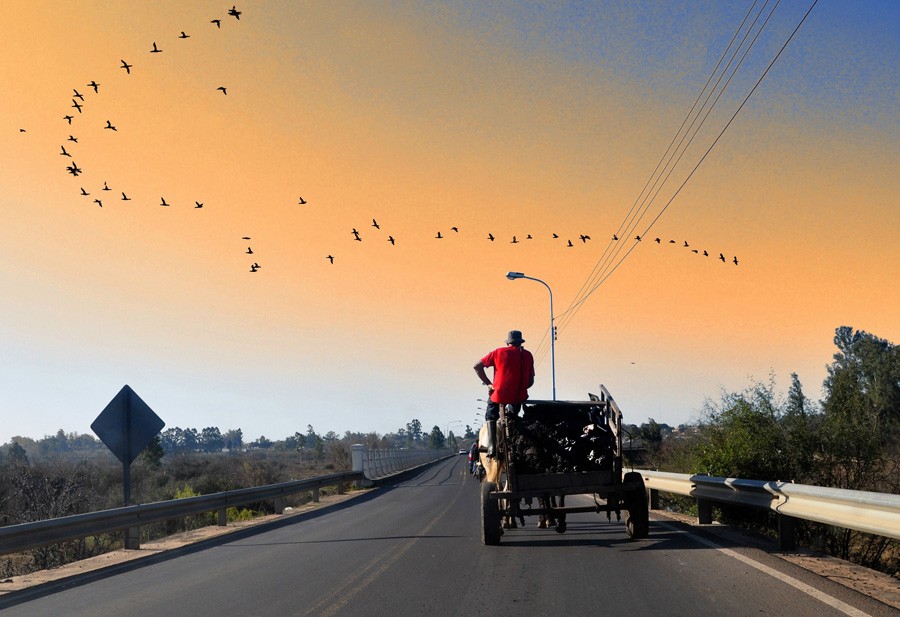 "`Volviendo con mi tierra`" de Cristian Francolini