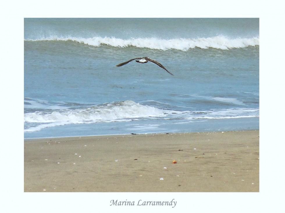 "Volando bajo..." de Marina Larramendy