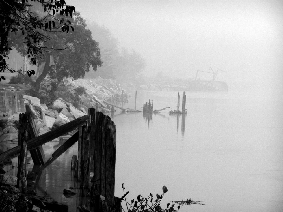 "Niebla" de Alberto Matteo