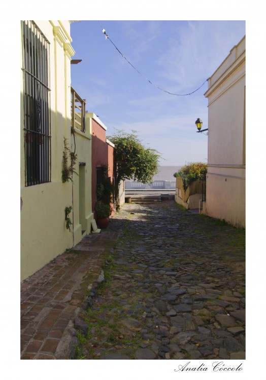 "Callejitas de Colonia" de Analia Coccolo