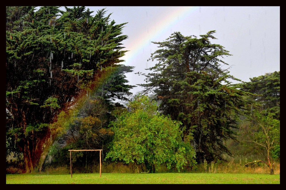 "El arco iris, naci en mi jardn..." de Mora C. Nitzabrego