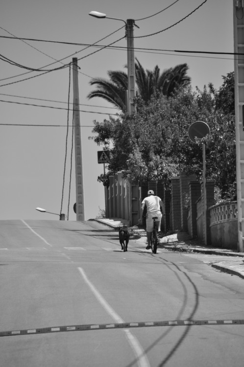 "EN FORMA JUNTOS" de Carmen Esteban