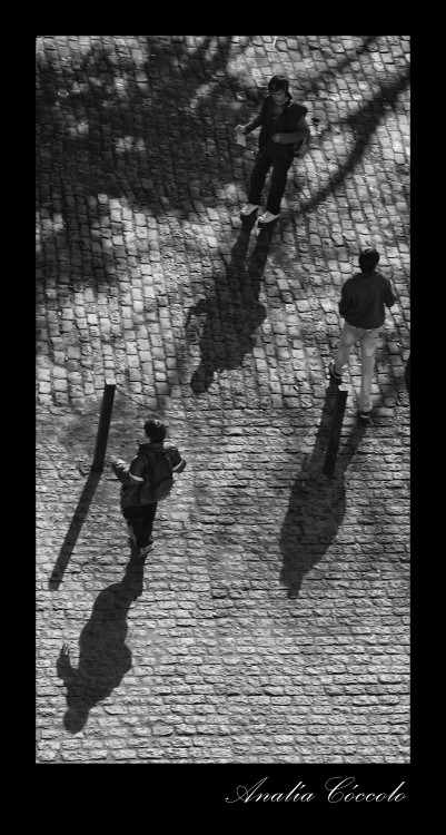 "Un tringulo de sombras" de Analia Coccolo