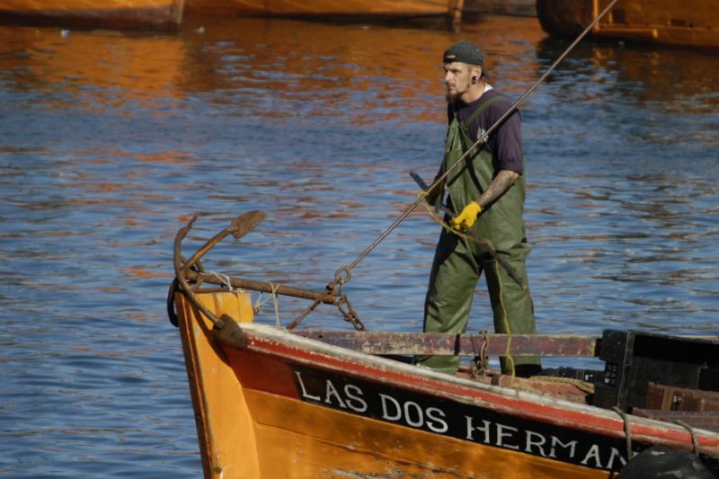 "LLegando a Puerto" de Alfredo Mendez