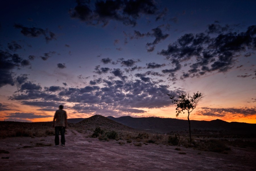 "Contemplacin" de Francisco Jos Cerd Ortiz