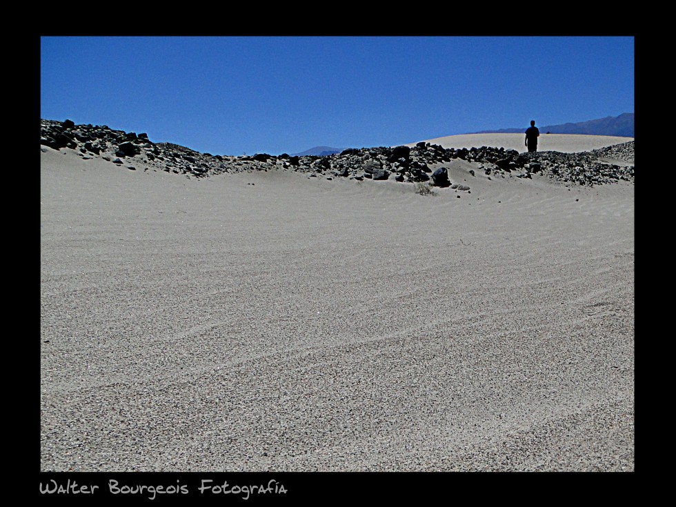 "Solo en el desierto..." de Walter Bourgeois