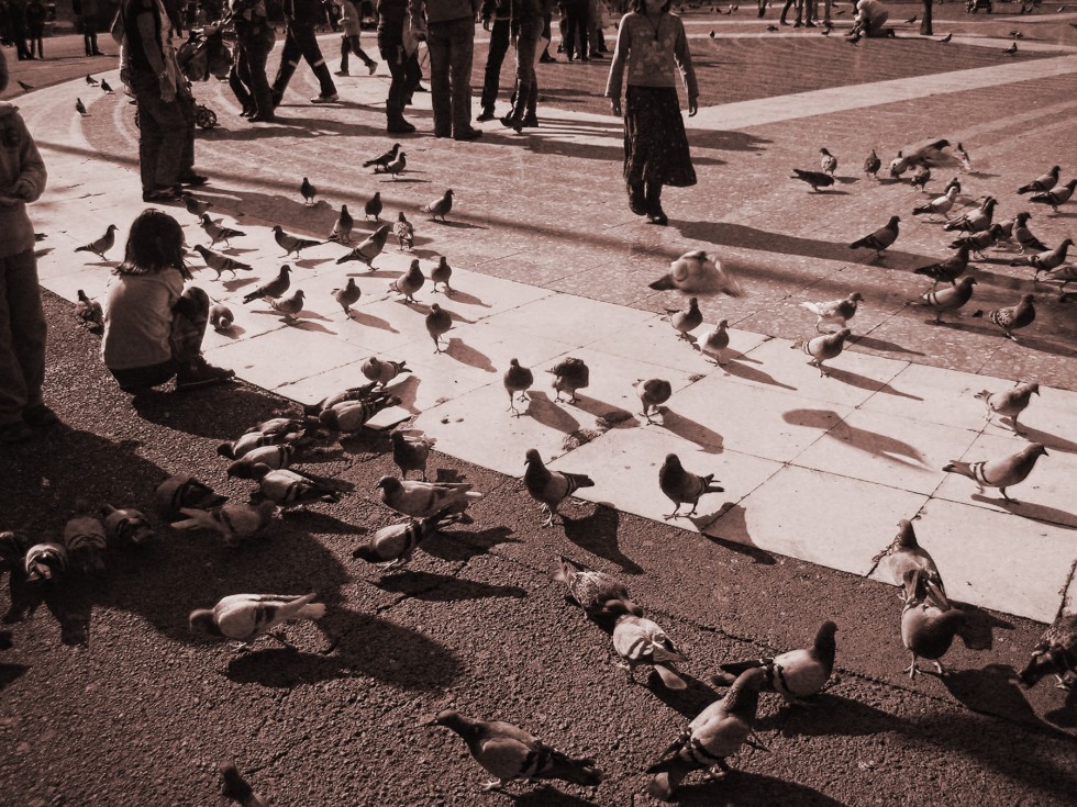 "Jugando con palomas" de Manuel Velasco