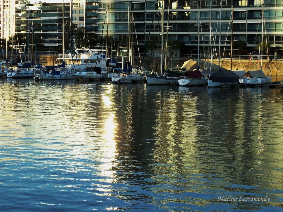 "Reflejos dorados..." de Marina Larramendy