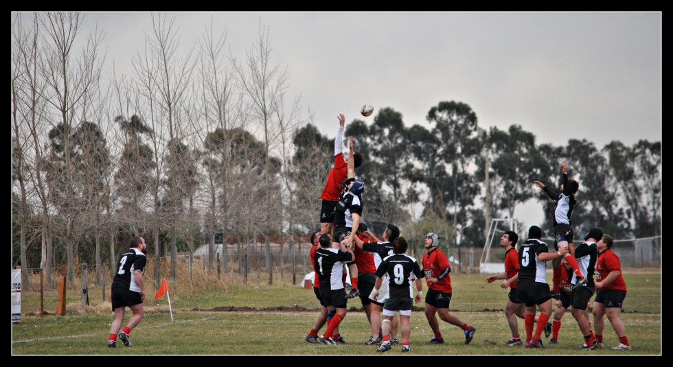 "Rugby" de Andrea Adam