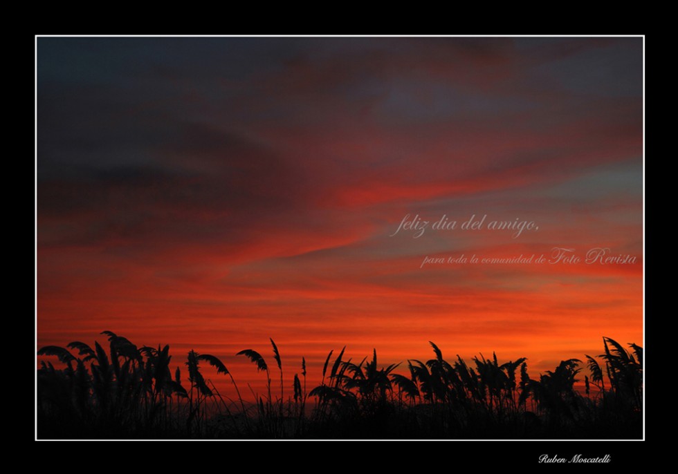 "Un nuevo amanecer" de Ruben Moscatelli