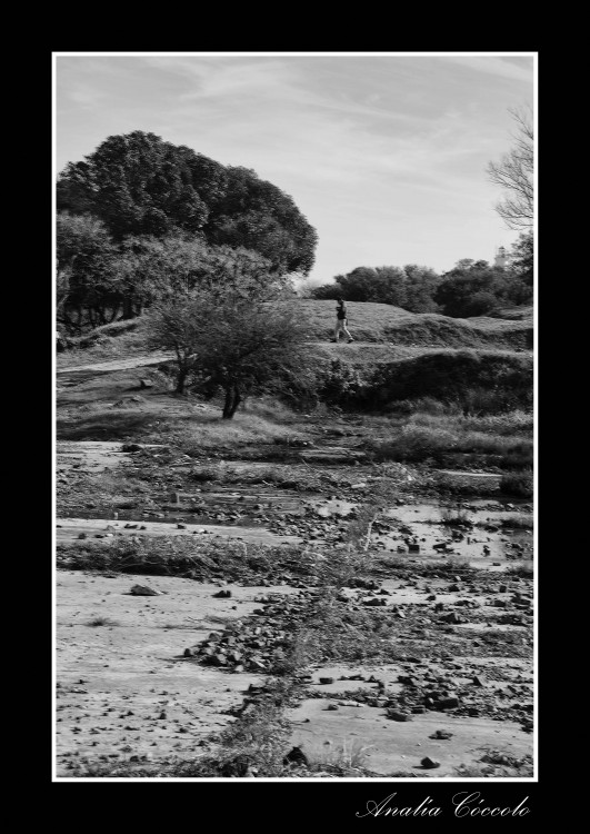 "Pensador y caminante" de Analia Coccolo