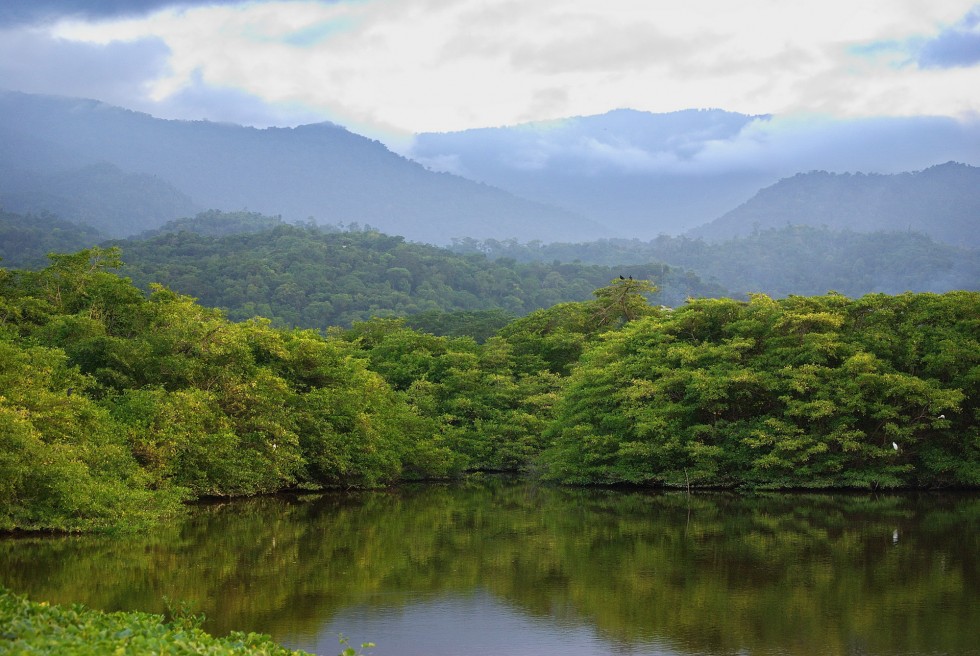 "la sabana" de Adrin De La Paz Rodrguez